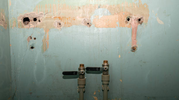 Best Emergency water extraction  in Rushville, NE