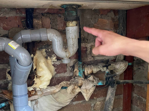 Best Fire Damage Restoration  in Rushville, NE