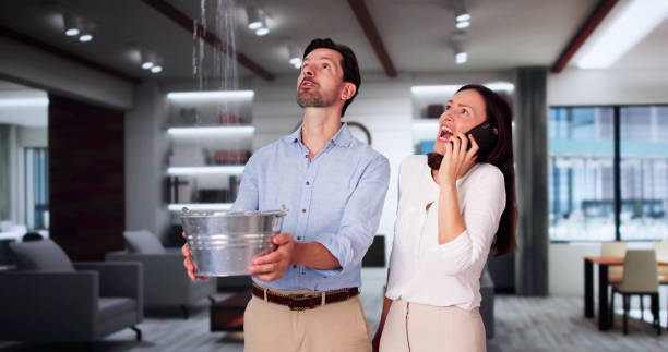 Best Water damage restoration mold remediation  in Rushville, NE