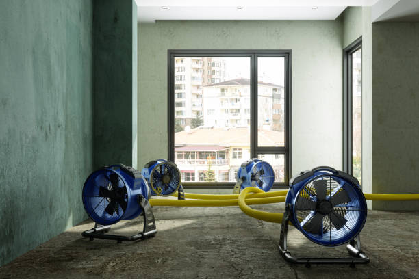 Best Water damage restoration near me  in Rushville, NE